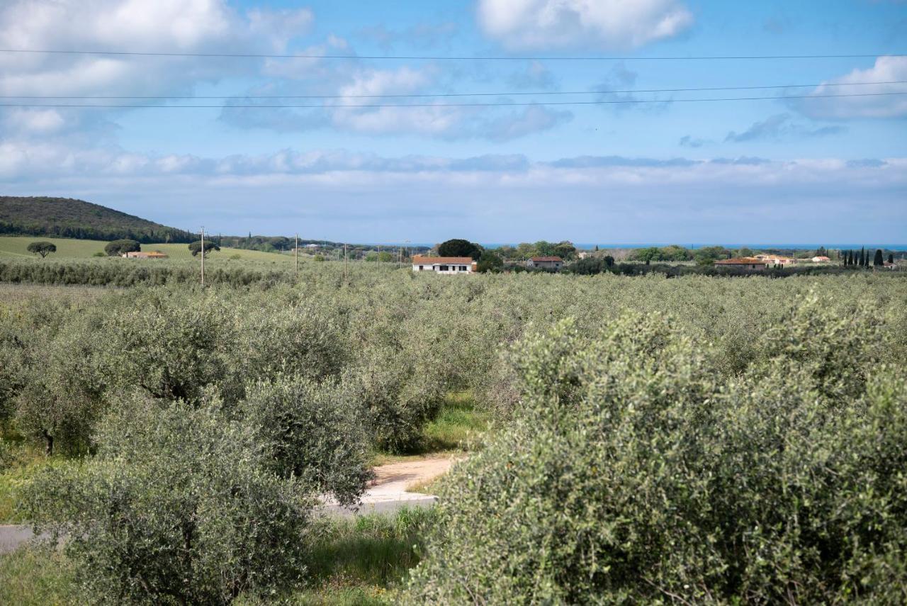 Podere Vignanova Accommodations & Spa Castagneto Carducci Exterior foto